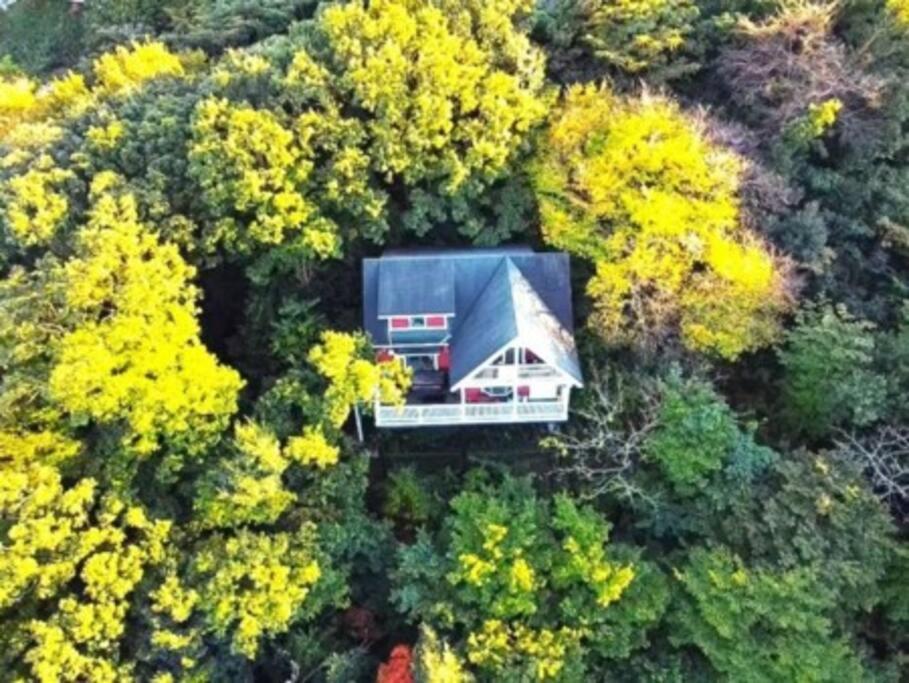 絶景大型ログハウス最大20人ハートウッド熱海邸 Atami Kültér fotó